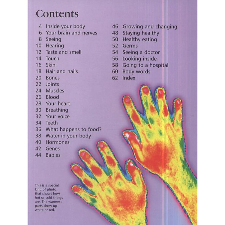 Usborne First Encyclopedia of the Human Body - Ảnh 5