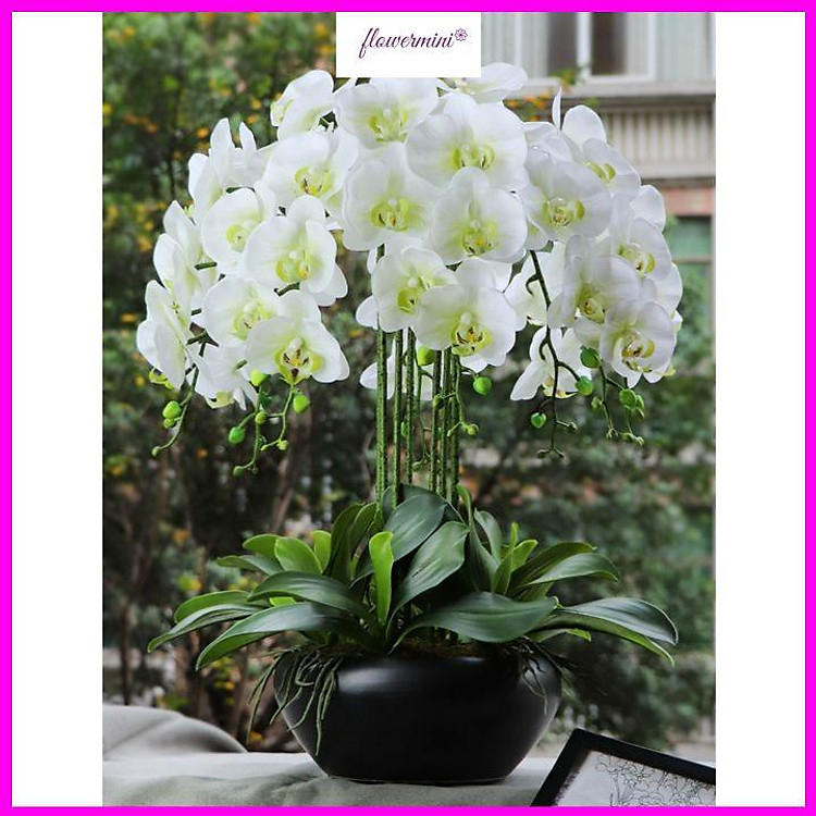 Chậu hoa lan hồ điệp cao su cao cấp cao 60cm trang trí phòng khách, làm quà khai trương sang trọng