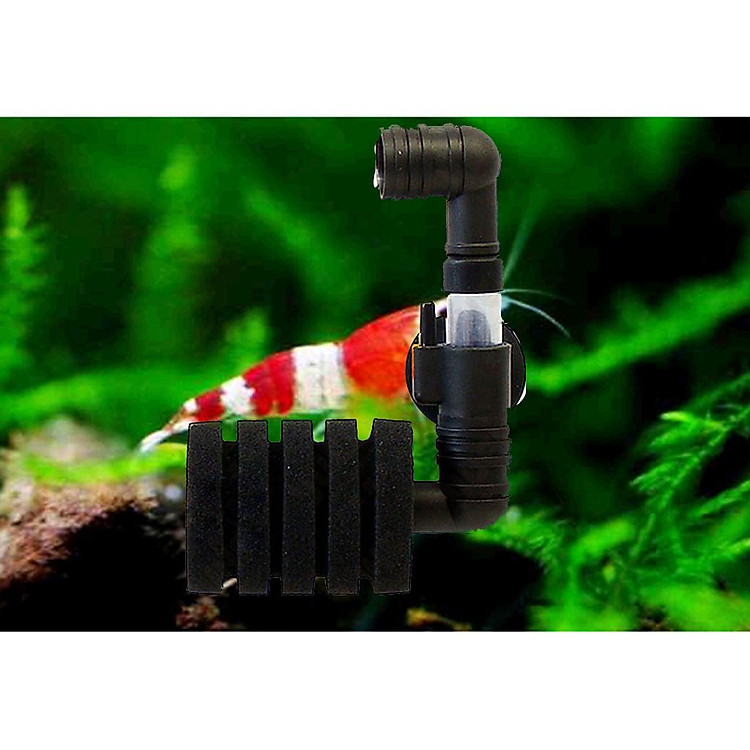 Bể Cá Sinh Hóa Sinh Học Xốp Lọc Treo Tường Lọc Nước