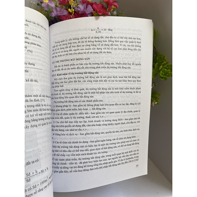 CHÍNH SÁCH ĐÔ THỊ TẦM NHÌN BAO QUÁT VÀ HỆ THỐNG CỦA NHÀ QUẢN LÝ ĐÔ THỊ - Ảnh 3