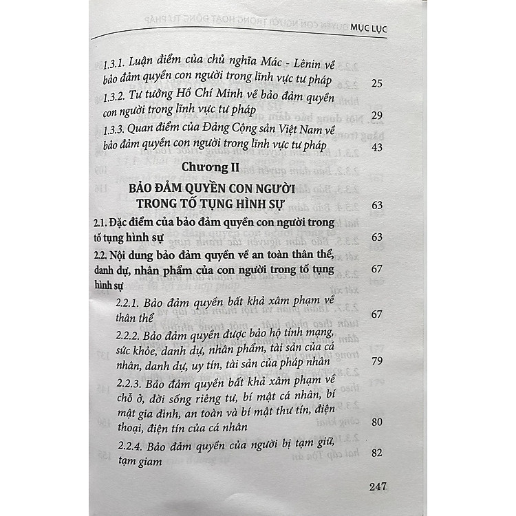Bảo Đảm Quyền Con Người Trong Hoạt Động Tư Pháp - Ảnh 3