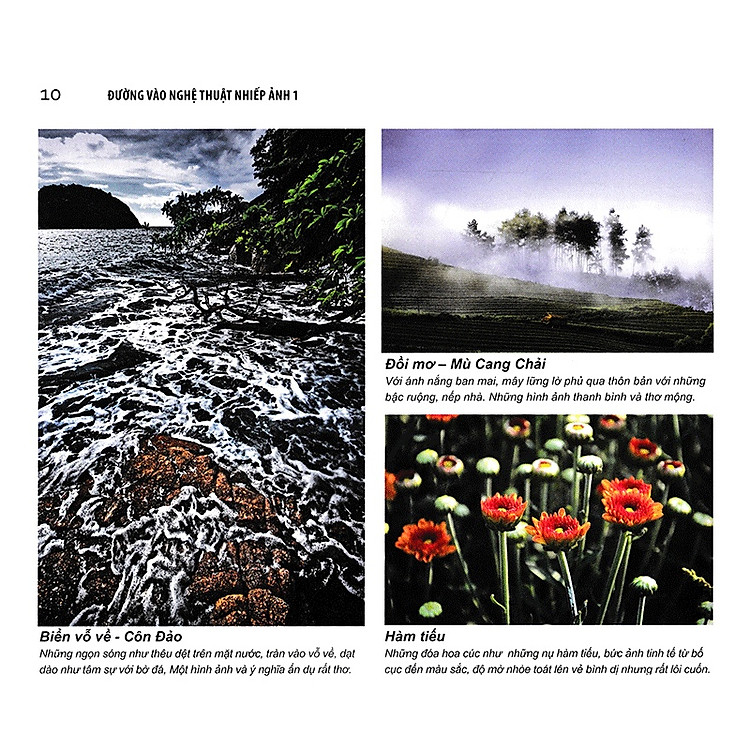 Đường Vào Nghệ Thuật Nhiếp Ảnh – Ngôn Ngữ Hình Ảnh - Ảnh 6