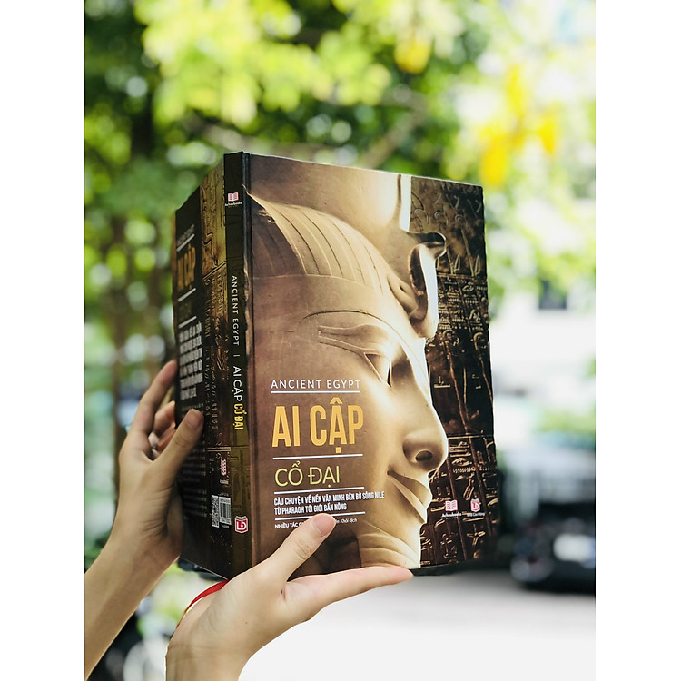 Ancient Egypt – Tổng Hợp Kiến Thức Bách Khoa Lịch Sử Về Nền Văn Minh Ai Cập - Ảnh 5