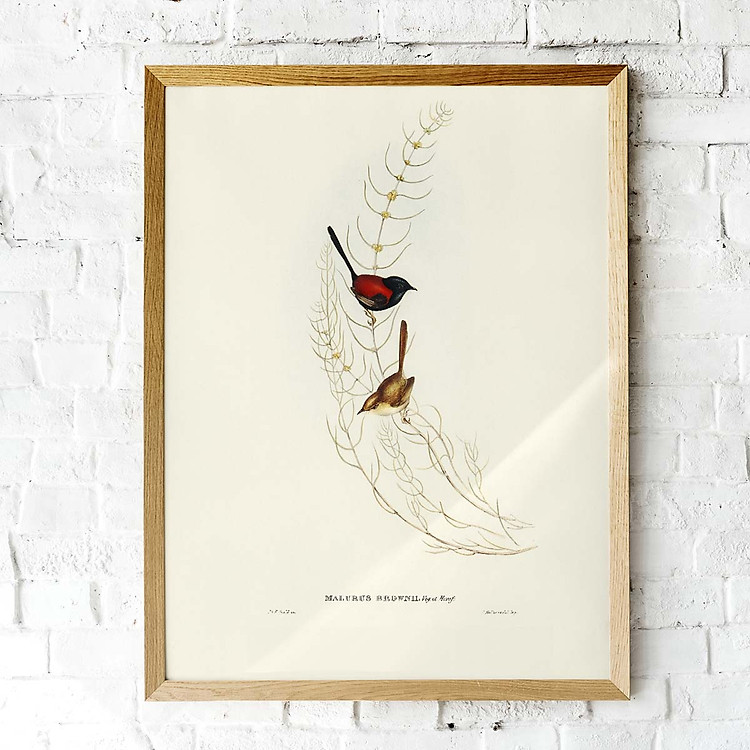 Tranh Canvas treo tường chim sẻ nâu - B007