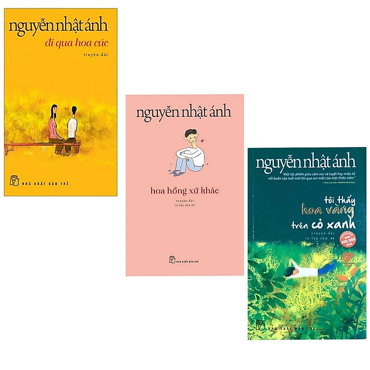 Tôi thấy hoa vàng trên cỏ xanh - Hoa hồng xứ khác - Đi qua hoa cúc - Ảnh 3