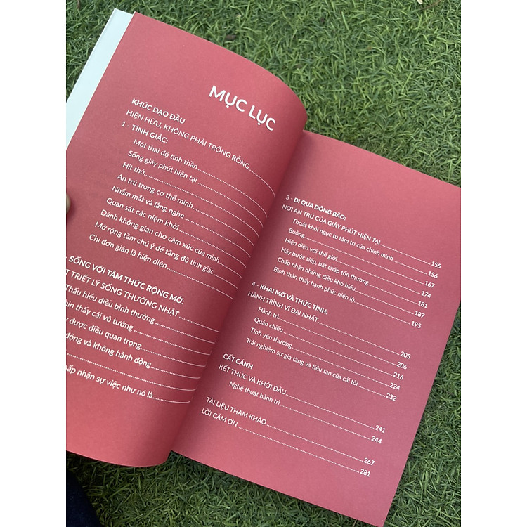 THIỀN ĐỊNH MỖI NGÀY - Ảnh 2