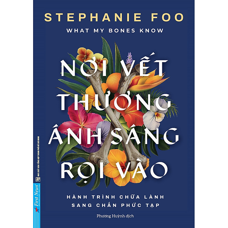 NƠI VẾT THƯƠNG ÁNH SÁNG RỌI VÀO – Stephanie Foo – Phương Huỳnh dịch – First news – NXB Tổng hợp HCM