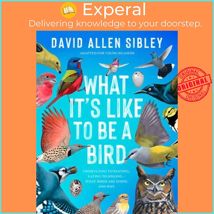 Sách - What It's Like to Be a Bird (Adapted for Young Readers) by David Allen Sibley (UK edition, hardcover)