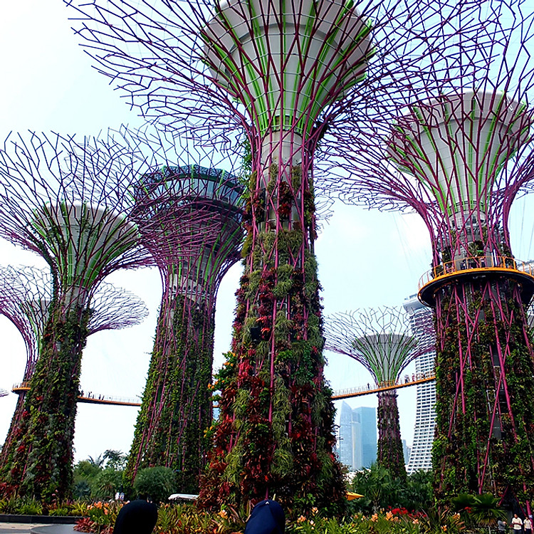 Vé Tham Quan Gardens By The Bay Singapore