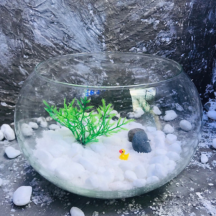 bể cá mini tròn - cao17 rộng 25 - bể cá mini