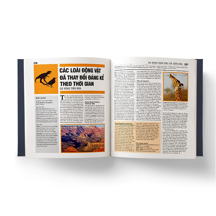 Sinh học - Khái lược những tư tưởng lớn - Ảnh 7