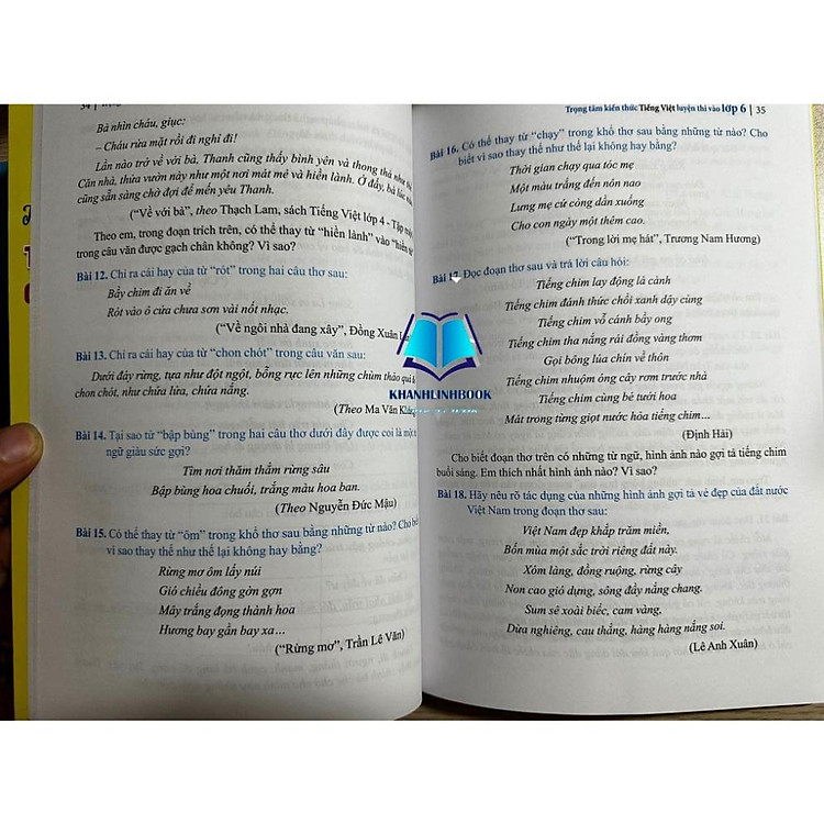 Combo Trọng Tâm Kiến Thức Tiếng Việt (Luyện Thi Vào Lớp 6) - Ảnh 5