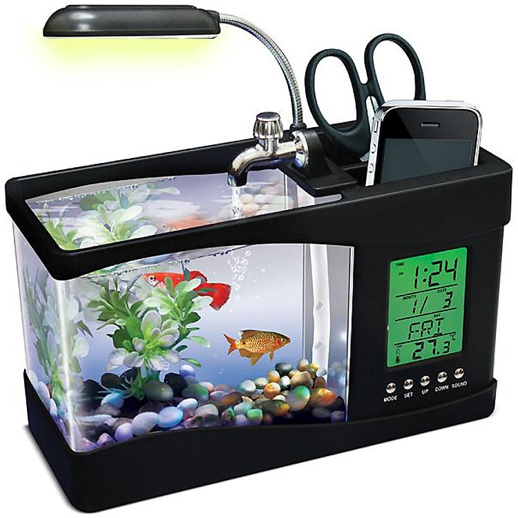 Bể cá mini để bàn làm việc