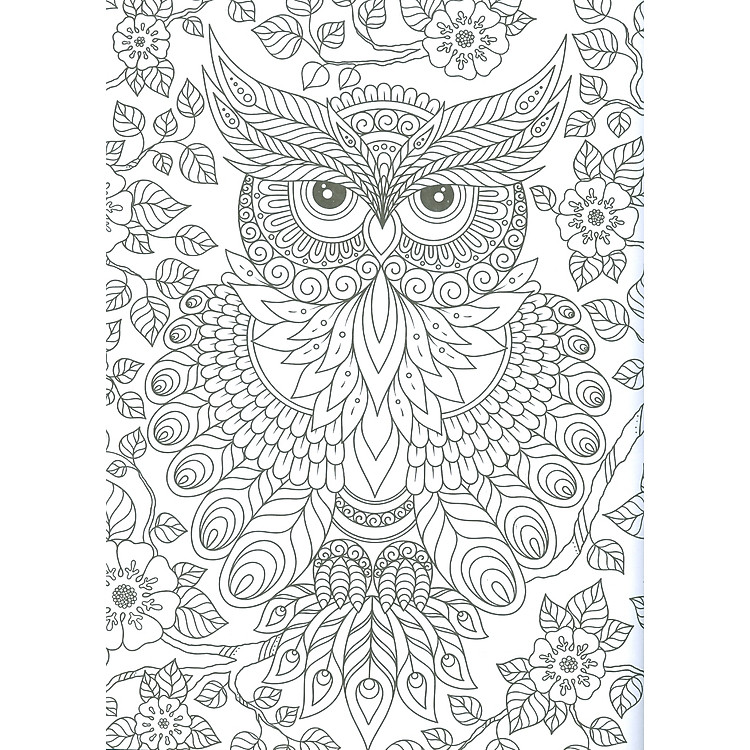 Wilderness - Adults Colouring Book (Động Vật Nơi Hoang Dã) - Ảnh 4
