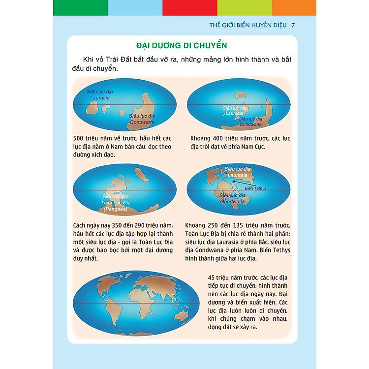 Thế Giới Biển Huyền Diệu - Ảnh 6