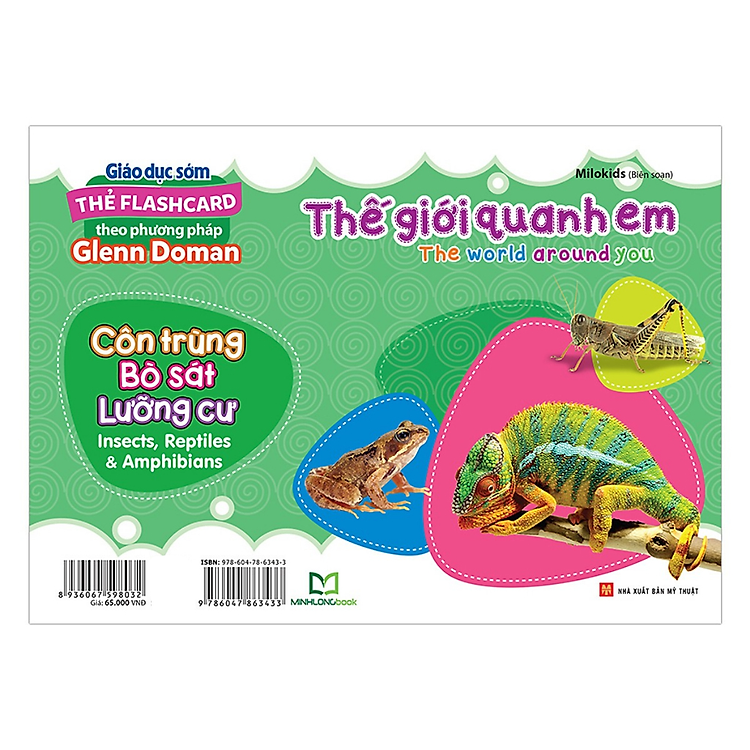 Thẻ Flashcard – The World Around You – Côn Trùng – Bò Sát – Lưỡng Cư – Insects, Reptiles & Amphibians