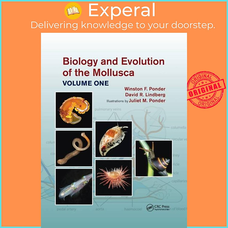 Sách - Biology and Evolution of the Mollusca, Volume 1 by Juliet Mary Ponder (UK edition, paperback)