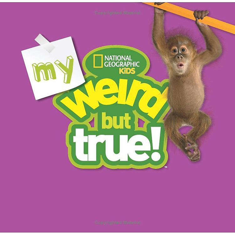 My Weird But True! Fact-A-Day Fun Journal - Ảnh 7