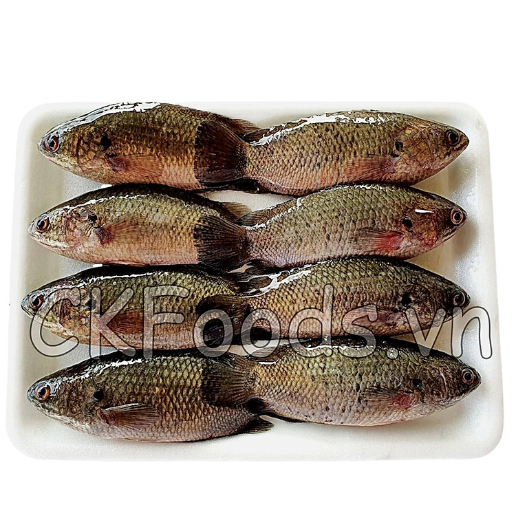 Cá rô bí đồng nguyên con - 200 g