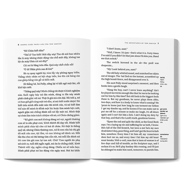 Những Cuộc Phiêu Lưu Của Tom Sawyer - The Adventures Of Tom Sawyer - Ảnh 5