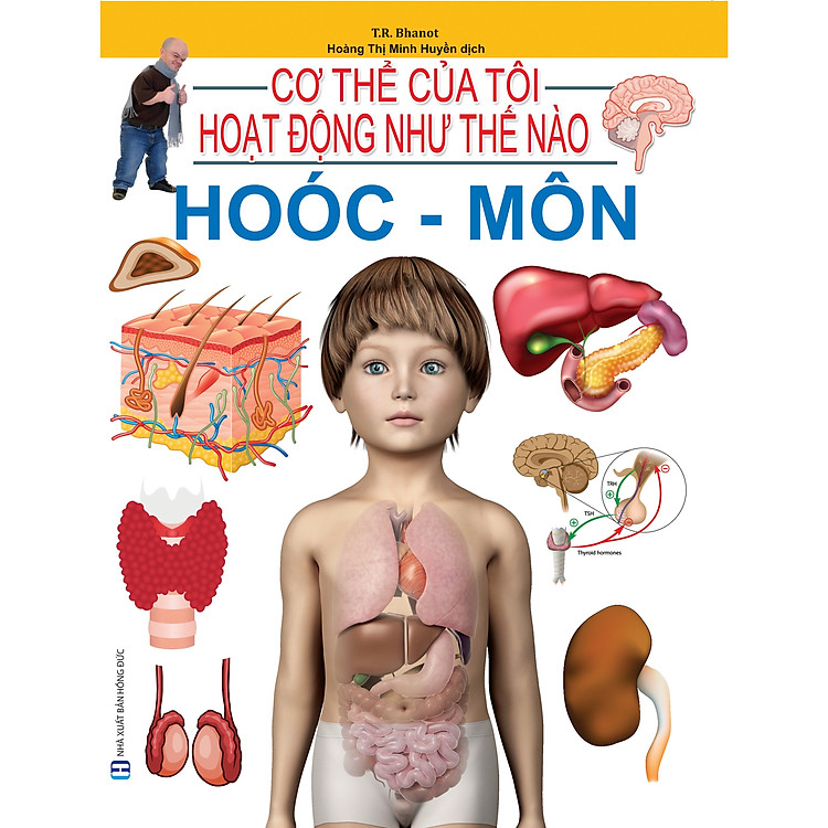 Cơ Thể Của Tôi Hoạt Động Như Thế Nào – Hoóc Môn