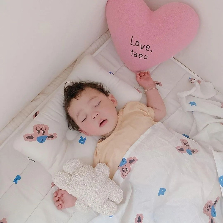 Mua Thảm Rototo Airmesh 3D cho chó Chính hãng Ưu đãi - Hình ảnh 3