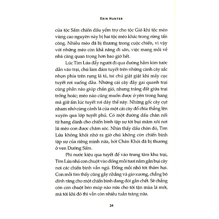 Mèo Chiến Binh - Bí Mật Rừng Sâu - Ảnh 4