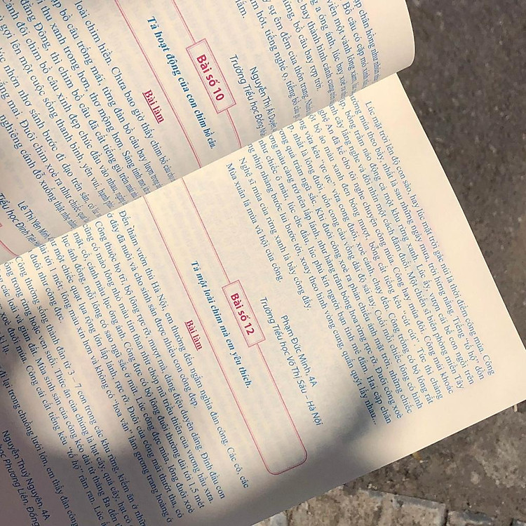 Tuyển Chọn Những Bài Văn Miêu Tả Lớp 4 - Ảnh 5