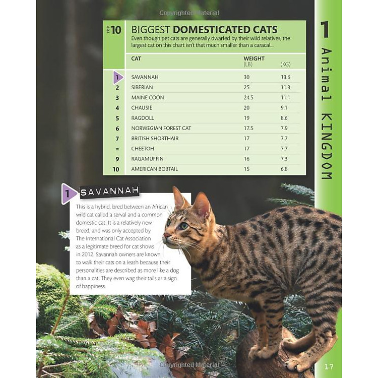 Top 10 of Everything 2018 - Ảnh 5