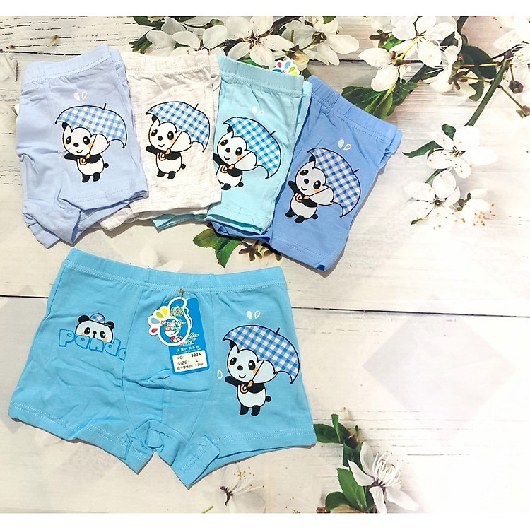 COMBO 5 QUẦN CHIP ĐÙI BÉ TRAI IN GẤU TRÚC (17-22kg)