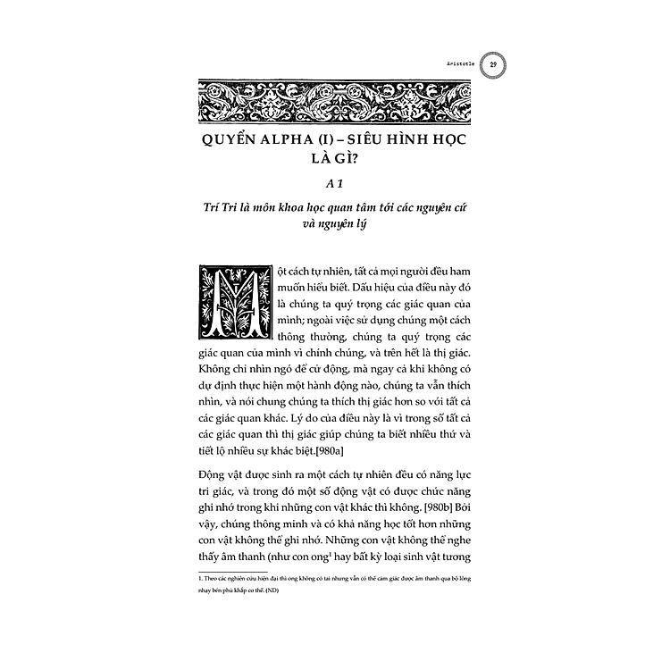 Siêu Hình Học (Metaphysics) – Aristotle - Ảnh 2
