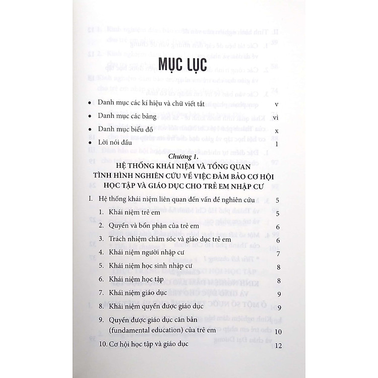 Đảm Bảo Cơ Hội Học Tập Và Giáo Dục Cho Trẻ Em Nhập Cư - Ảnh 3