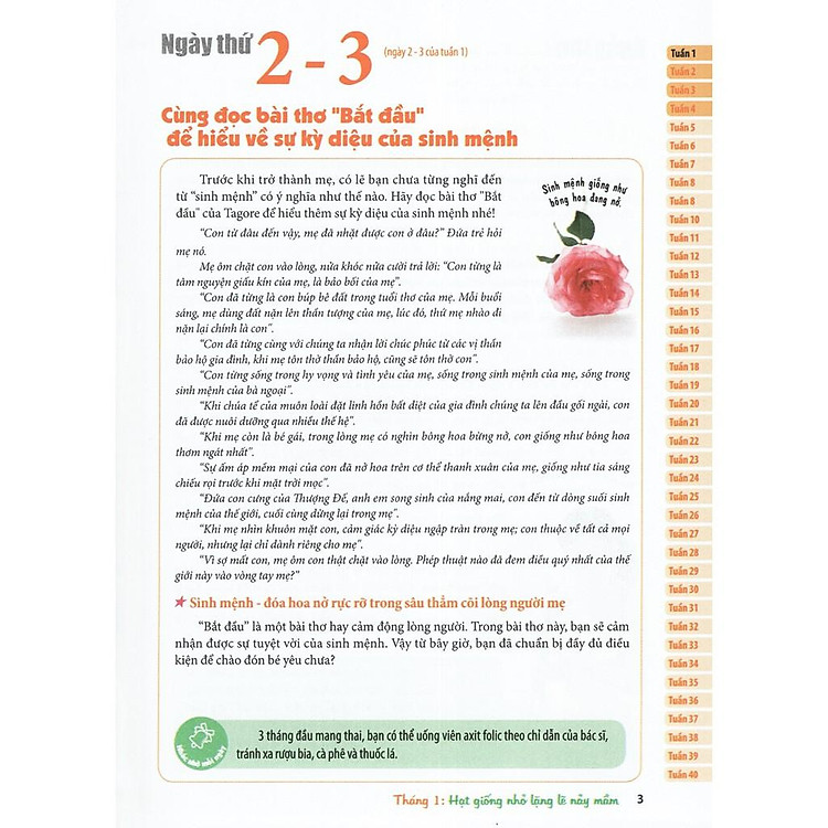 Thai Giáo Theo Chuyên Gia - 280 Ngày - Mỗi Ngày Đọc Một Trang - Ảnh 4