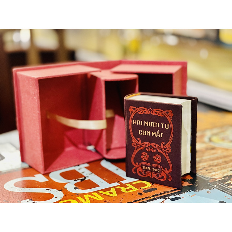 HAI MƯƠI TƯ CON MẮT - Ảnh 7