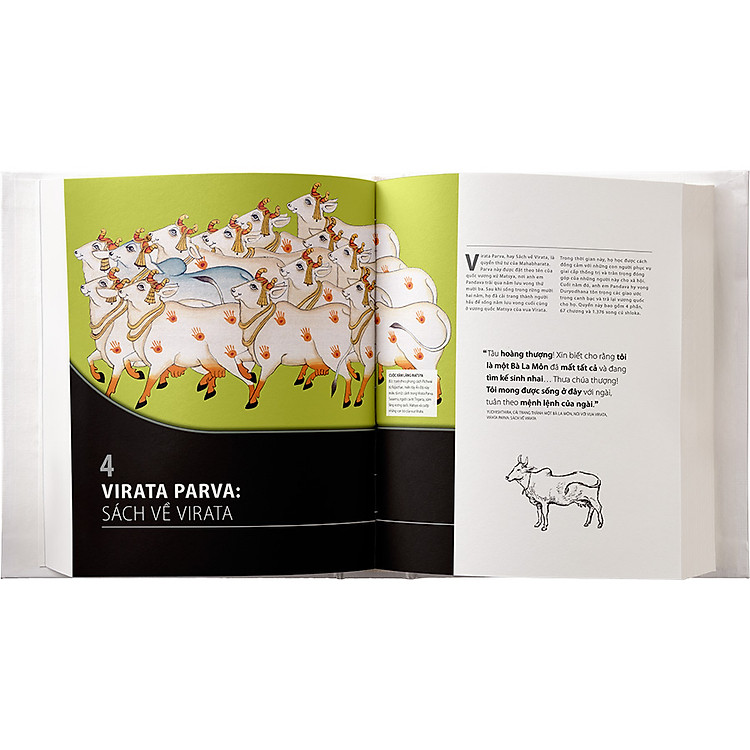 Mahabharata Bằng Hình - Thiên Sử Thi Vĩ Đại Nhất Của Ấn Độ - Ảnh 7