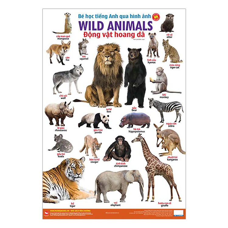 Sách Bé Học Tiếng Anh Qua Hình Ảnh - Động Vật Hoang Dã (Tái Bản)