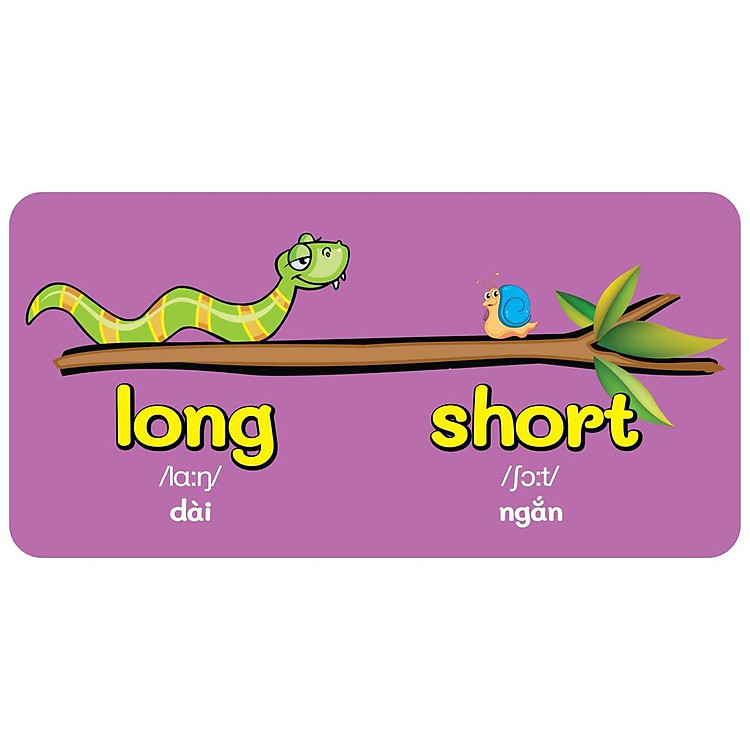 Baby's First Picture Dictionary - Từ Điển Bằng Hình Đầu Tiên Của Bé - Đối Lập - Opposite - Ảnh 2