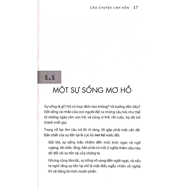 Câu Chuyện Linh Hồn - Chuyến Du Ngoạn Kỳ Bí Và Mầu Nhiệm Về Mục Đích Cuộc Đời - Ảnh 4