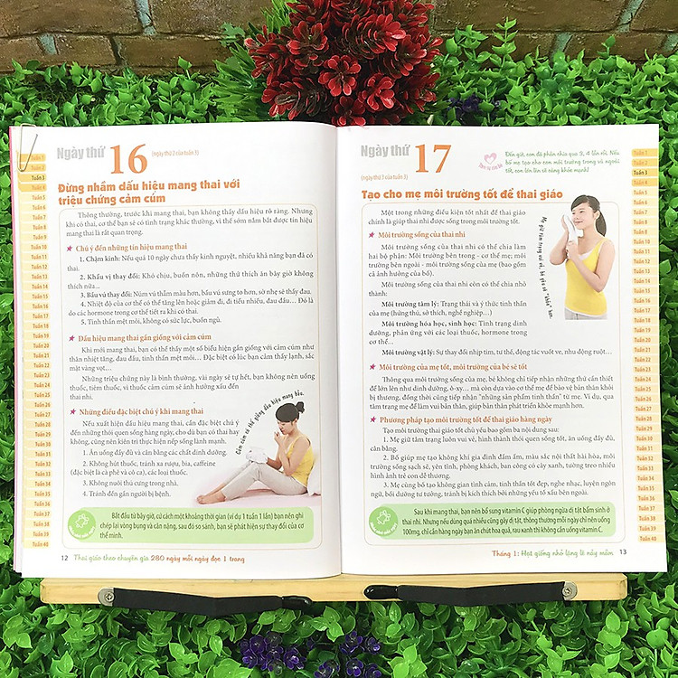 Thai Giáo Theo Chuyên Gia - 280 Ngày, Mỗi Ngày Đọc 1 Trang (Tái Bản) - Ảnh 2