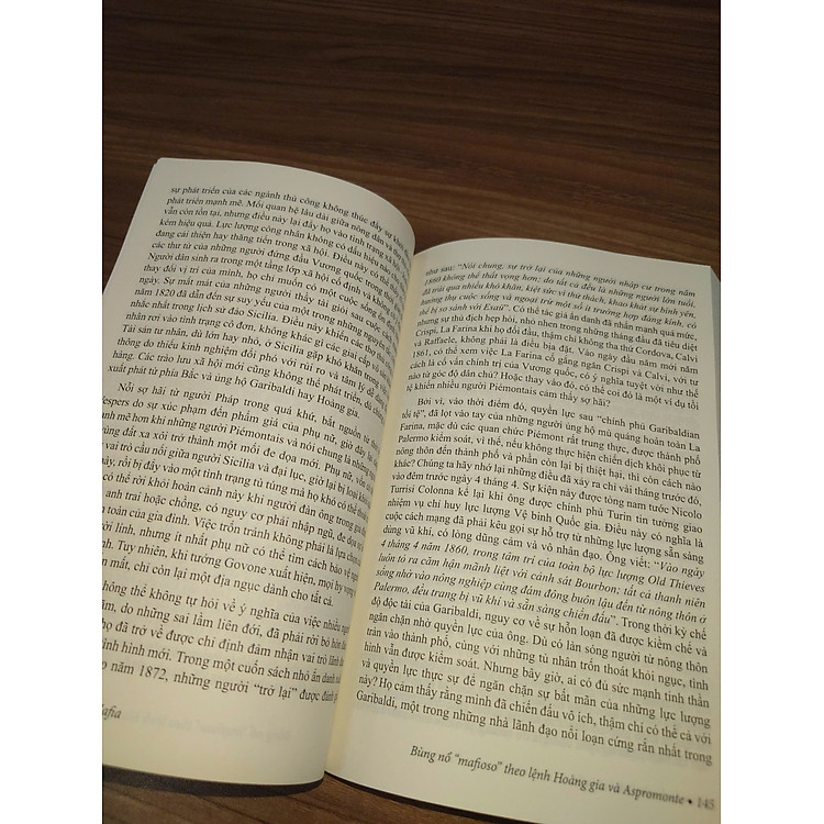 Lịch sử tổ chức Mafia - Ảnh 2