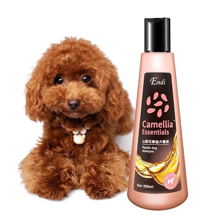 Sữa Tắm Cho Chó Poodle Nâu Đỏ Hoa Trà Camellia 500ml, Lưu Hương, Khử Khuẩn - Mã STCM09