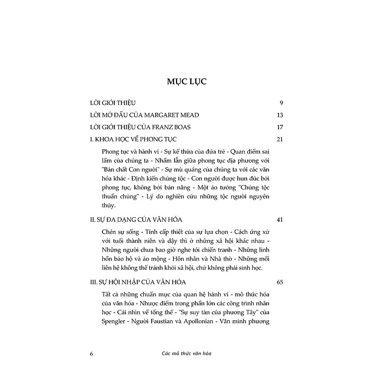 Các Mô Thức Văn Hóa - Ảnh 2