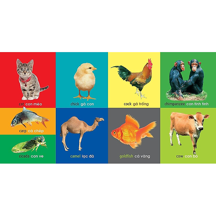 101 Từ Đầu Tiên: Động Vật (Tái Bản 2021) - Ảnh 3