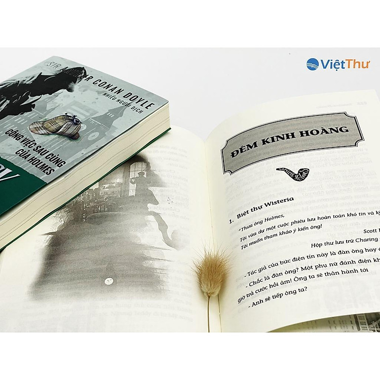 Sherlock Holmes - Công Việc Sau Cùng Của Holmes - Ảnh 3