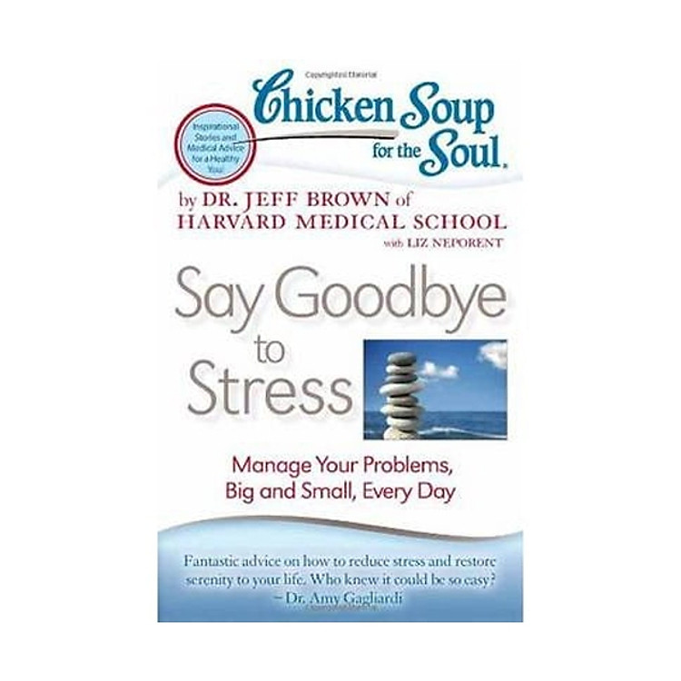 Sách Chicken Soup for the Soul: Say Goodbye to Stress: Manage Your Problems, Big and Small, Every Day