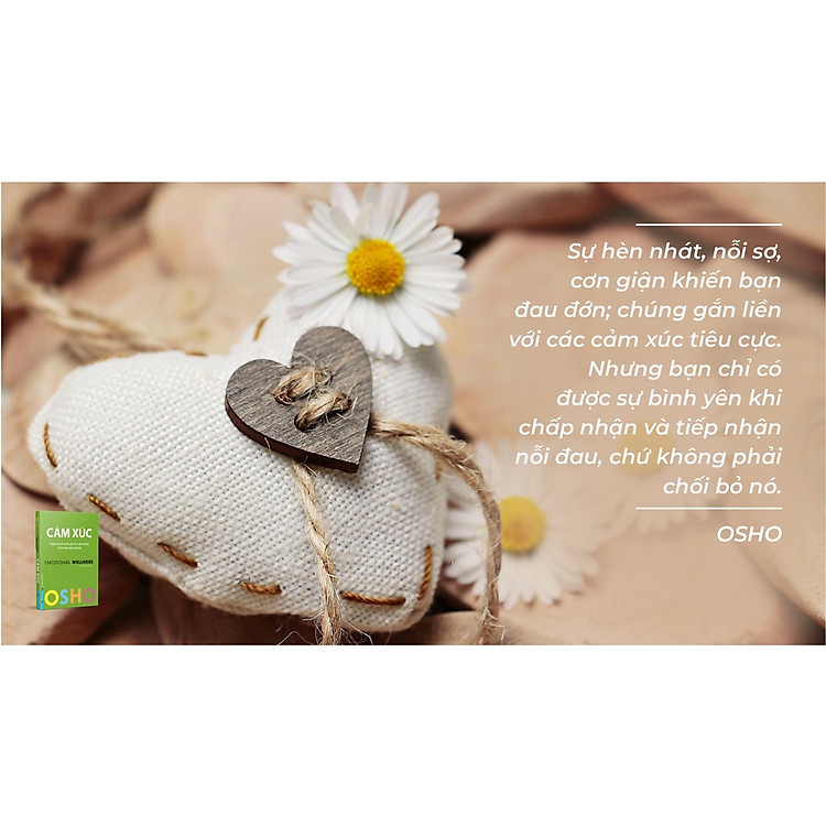 Cảm Xúc - Emotional Wellness - Ảnh 6