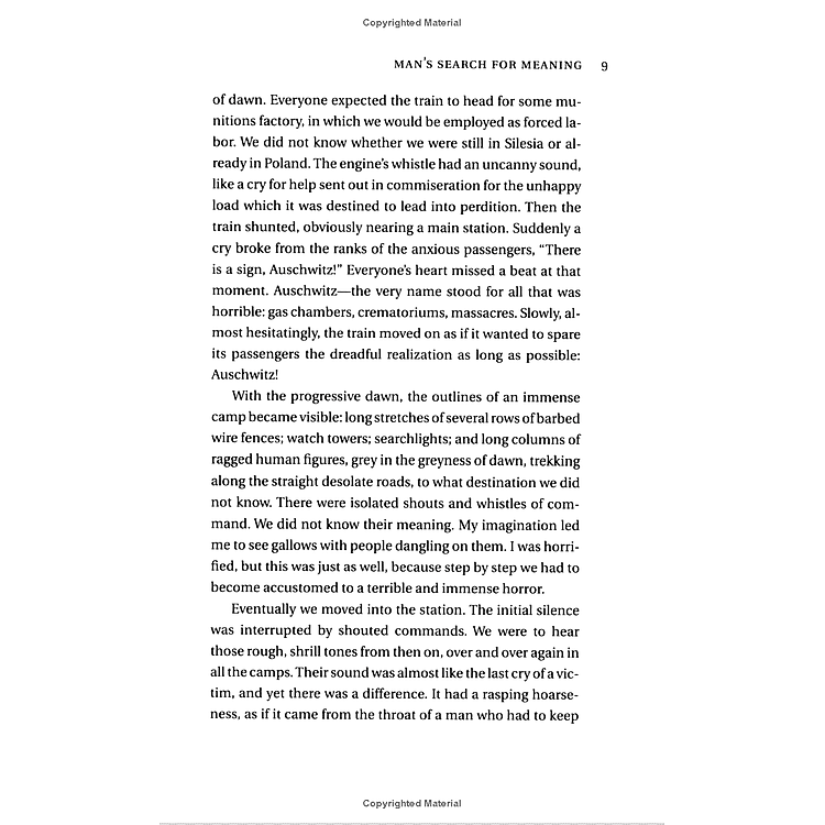 Man's Search For Meaning - Ảnh 2