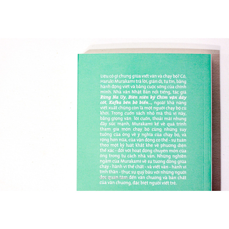 Tôi Nói Gì Khi Nói Về Chạy Bộ - Ảnh 2