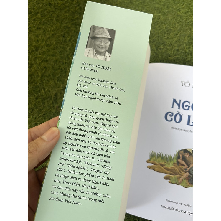 TÔ HOÀI – NGỌN CỜ LAU - Ảnh 2