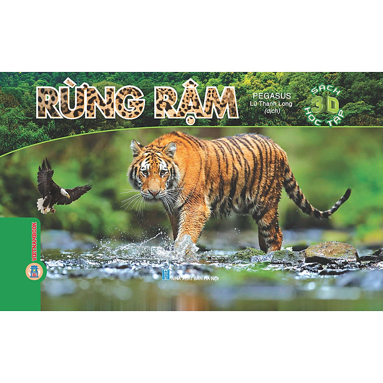 3D Học Tập – RỪNG RẬM